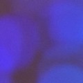Bokeh-300